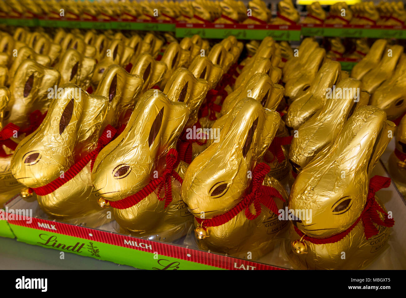 Foil wrapped chocolate bunny rabbit made by premium chocolate maker Lindt & Sprüngli, the famous Swiss chocolatier, especially popular at Easter. (96) Stock Photo