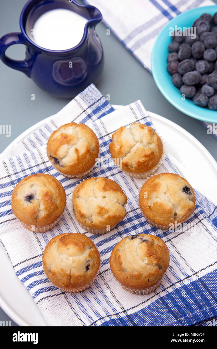 Baked Blueberry Muffins on a Kitchen Counter Stock Photo