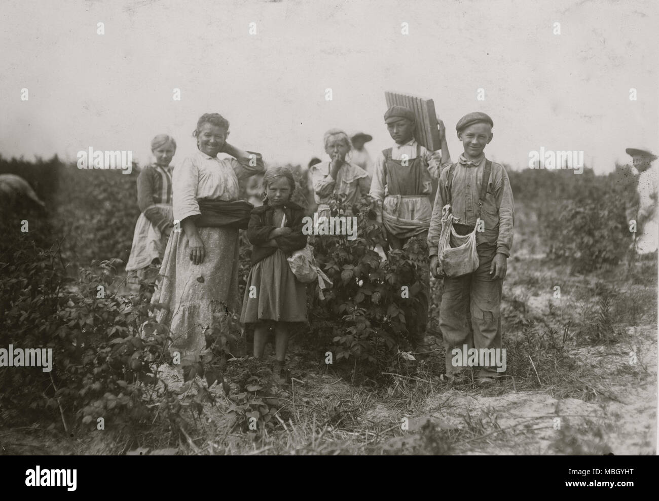 Polish Pickers at Berry farm Stock Photo