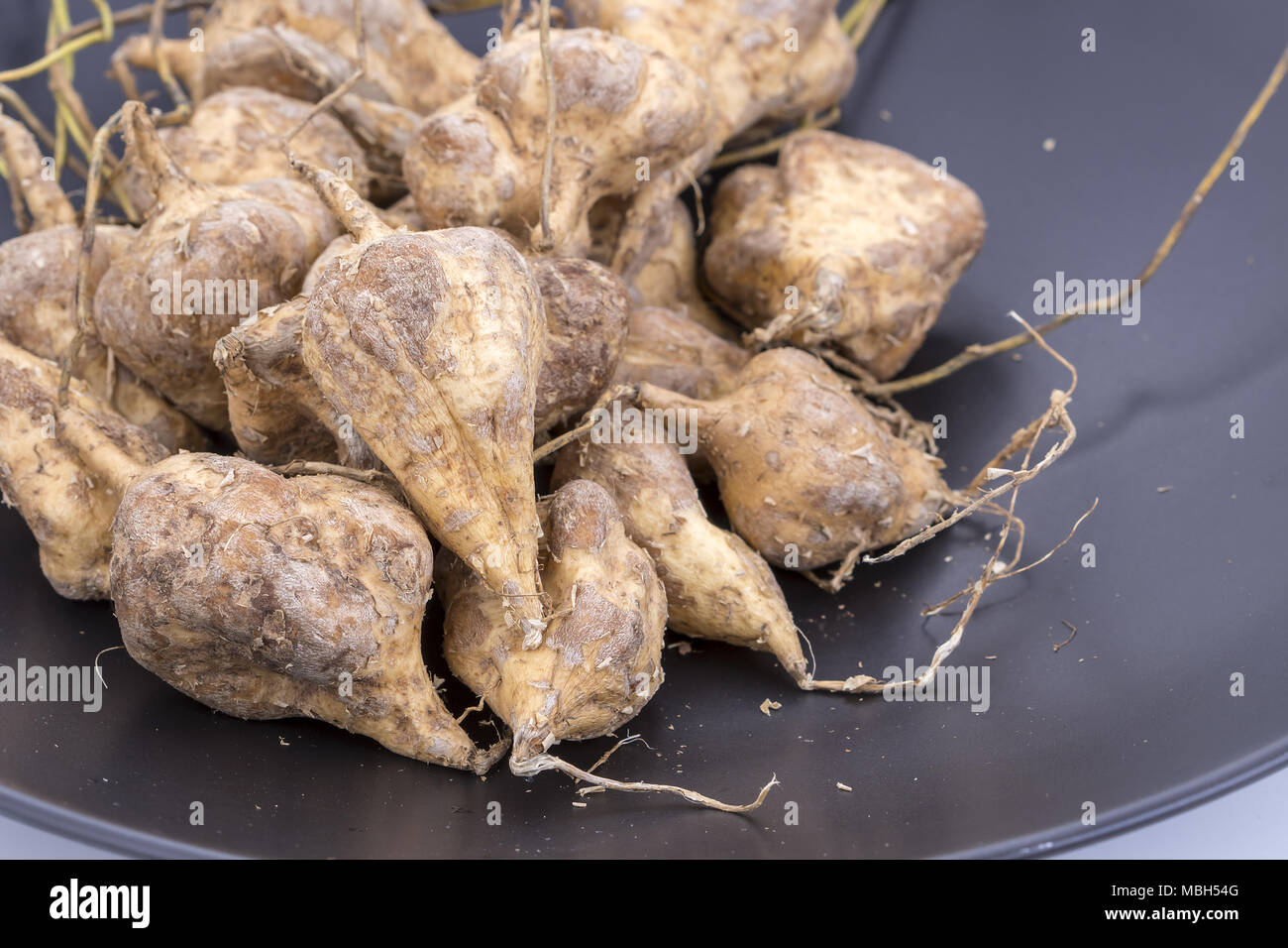 Yam Bean or Jicama unpeeled scientific name is Pachyrhizus erosus (L
