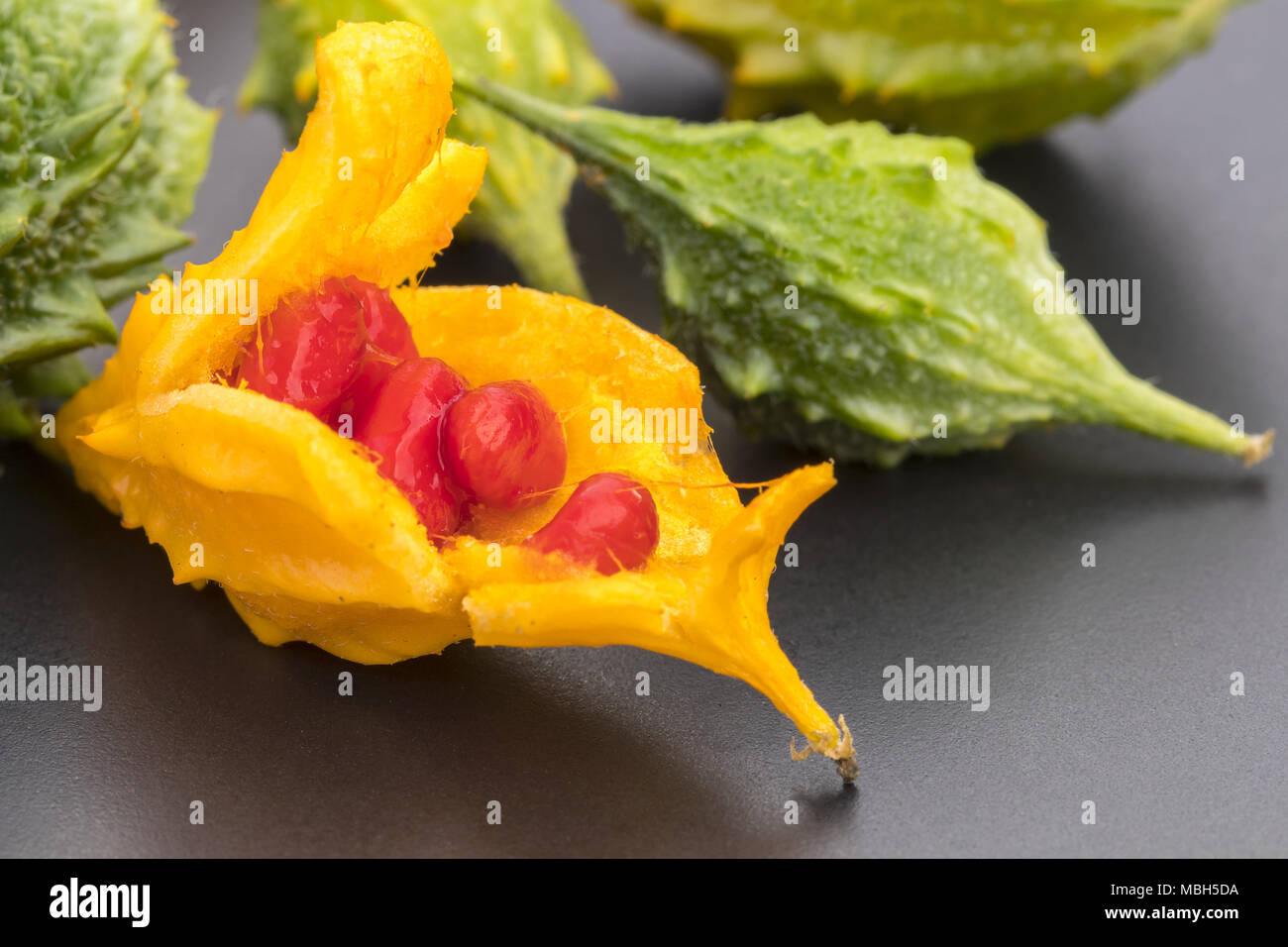 Ripe And Raw Wild Bitter Gourd On Black Plate With Red Seeds Stock Photo Alamy