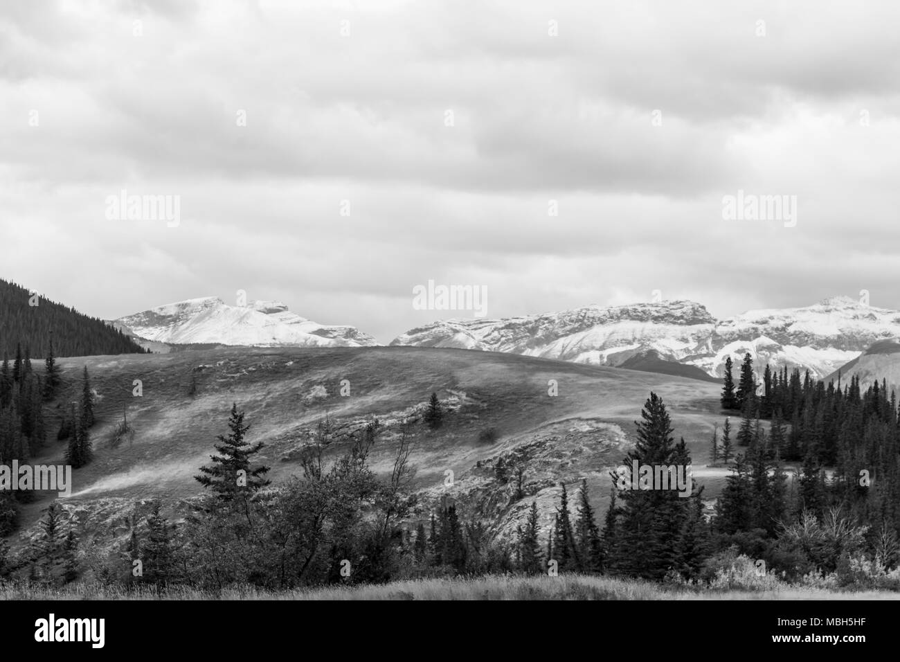 Jasper national park scenery Black and White Stock Photos & Images Alamy
