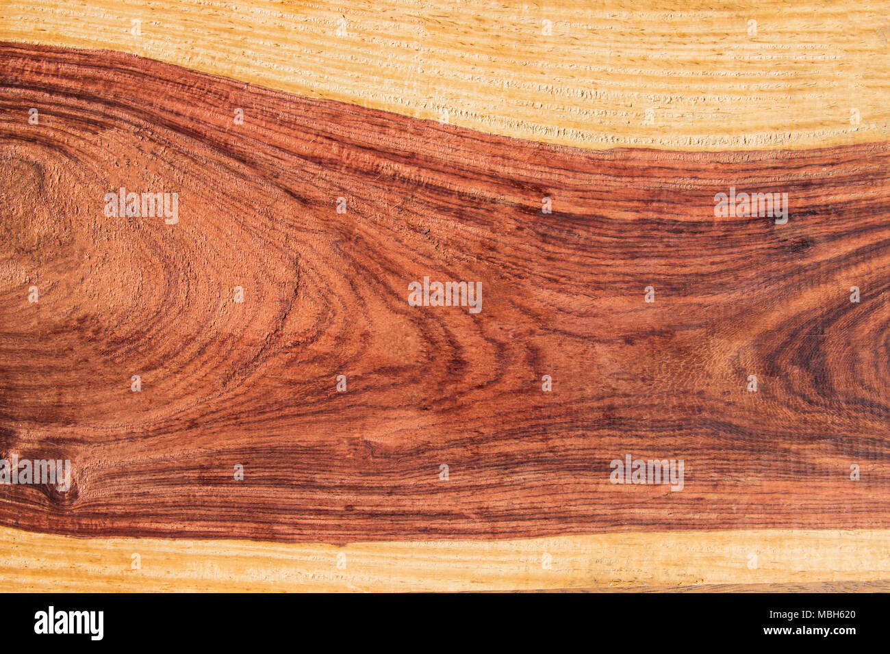 Wood texture Background nature detail for decorative furniture, Xylia xylocarpa Taub Stock Photo