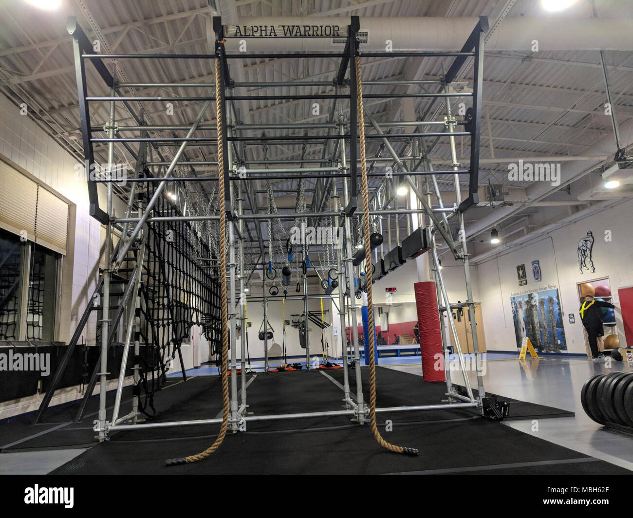 Alpha fit rig top