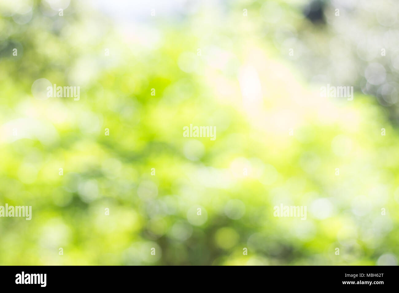 Blur bokeh background, Natural blurred background In public park Stock Photo