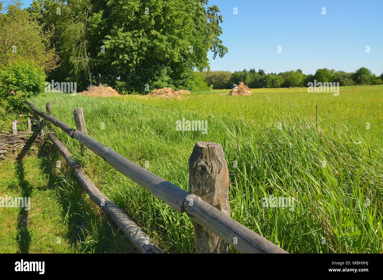 Wooden fence among high green grass background Stock Photo - Alamy