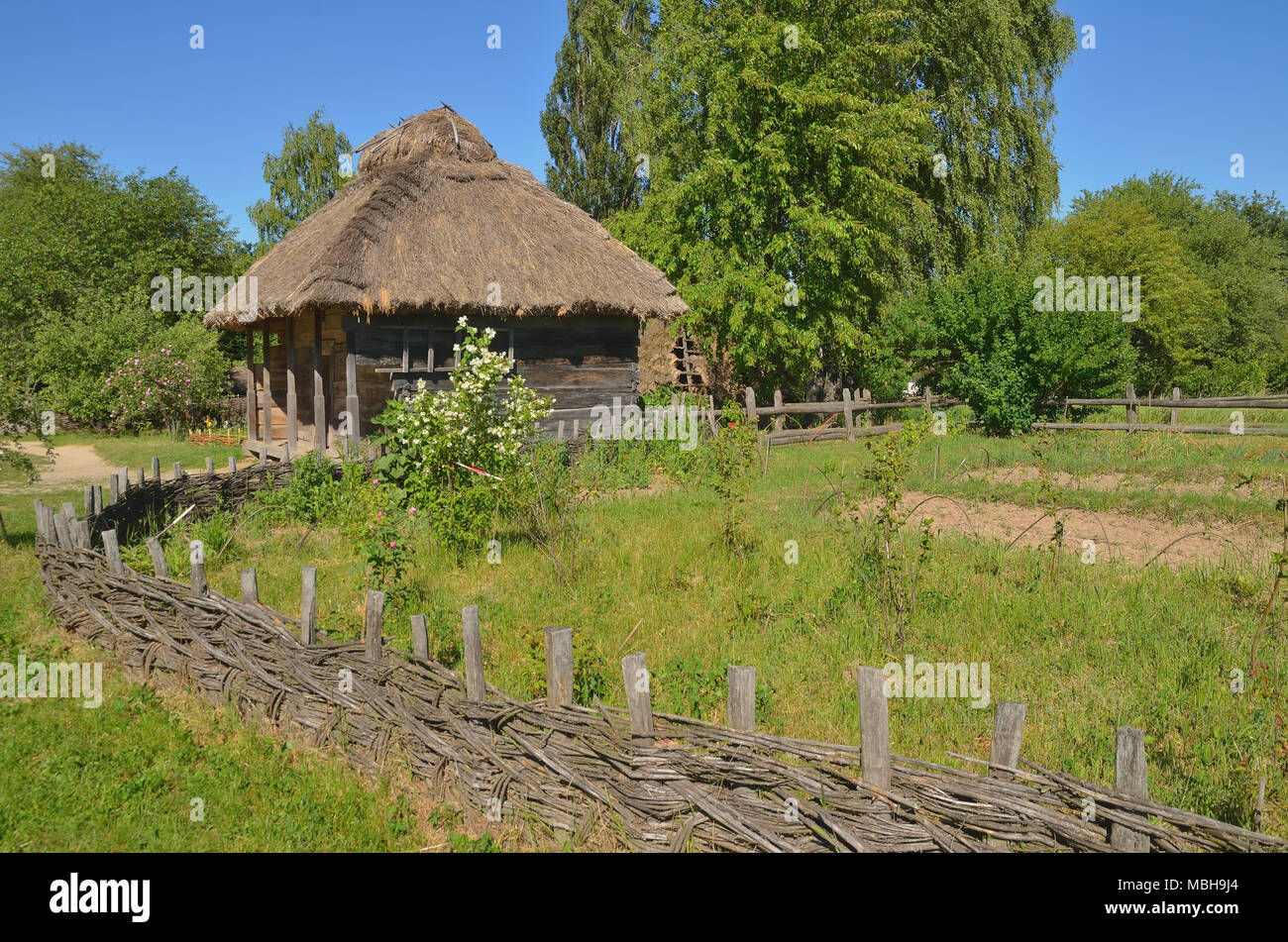 An old wooden house among trees and grass, surrounded by wooden wicker ...
