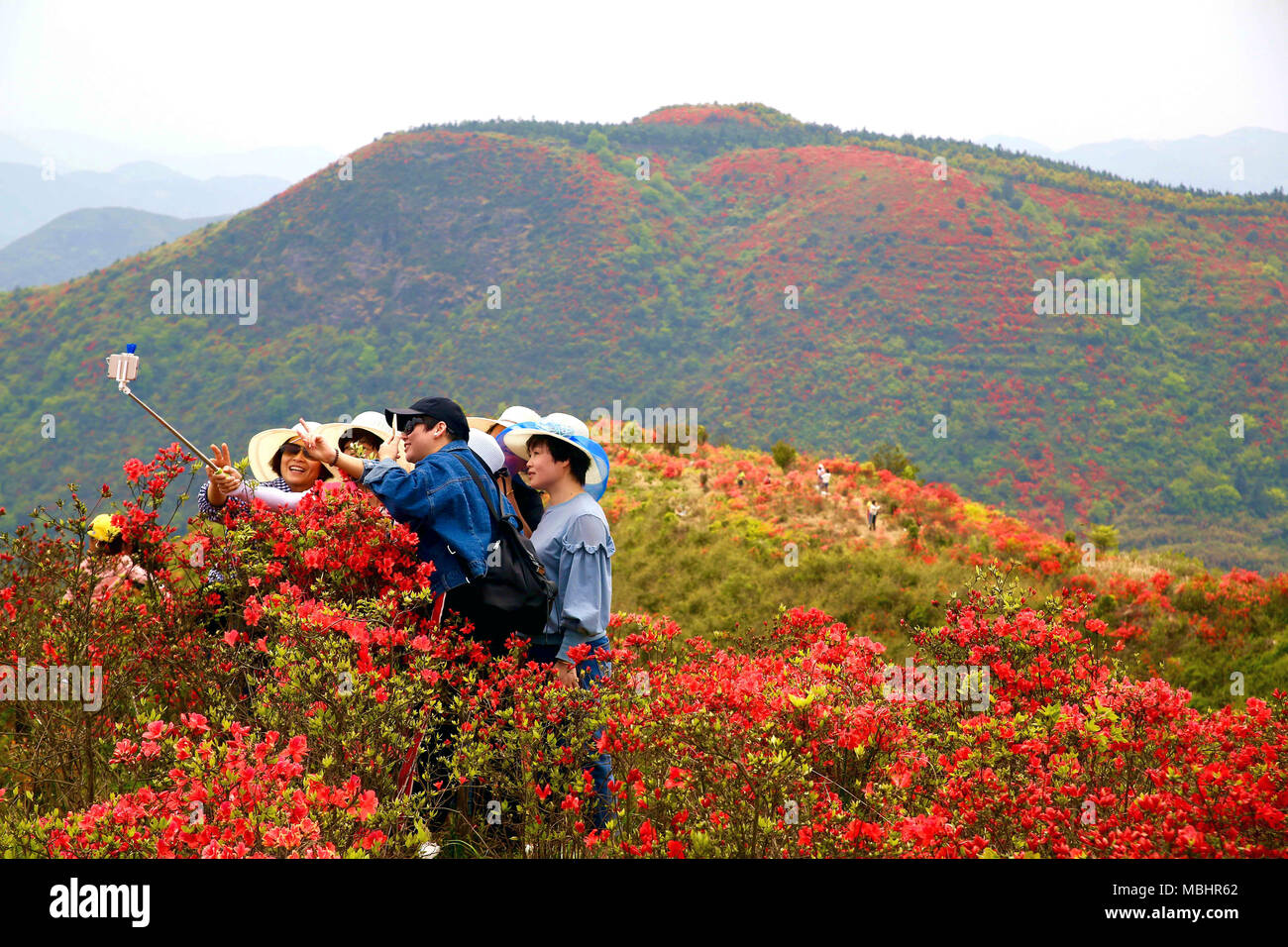 Rui'an, China's Zhejiang Province. 11th Apr, 2018. People take a selfie at Shengjingshan scenic spot in Rui'an City, east China's Zhejiang Province, April 11, 2018. Azaleas here are in full bloom these days. Credit: Zhuang Yingchang/Xinhua/Alamy Live News Stock Photo