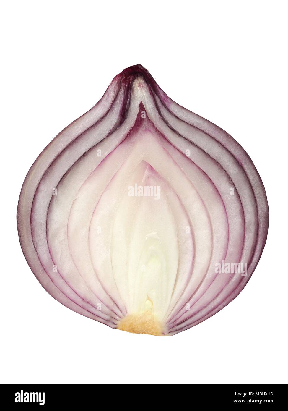 Half of red onion isolated on white background Stock Photo - Alamy