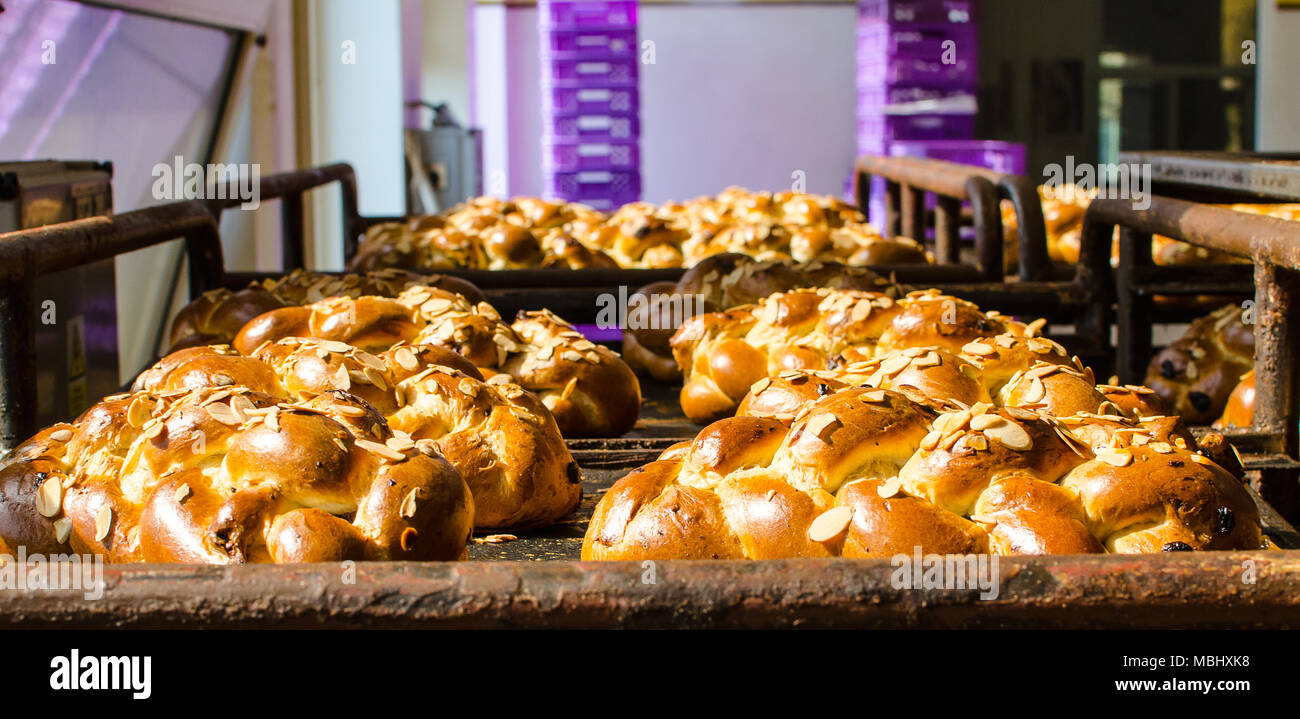 Freshly baked goldenfancy bread in a large bakery. Stock Photo