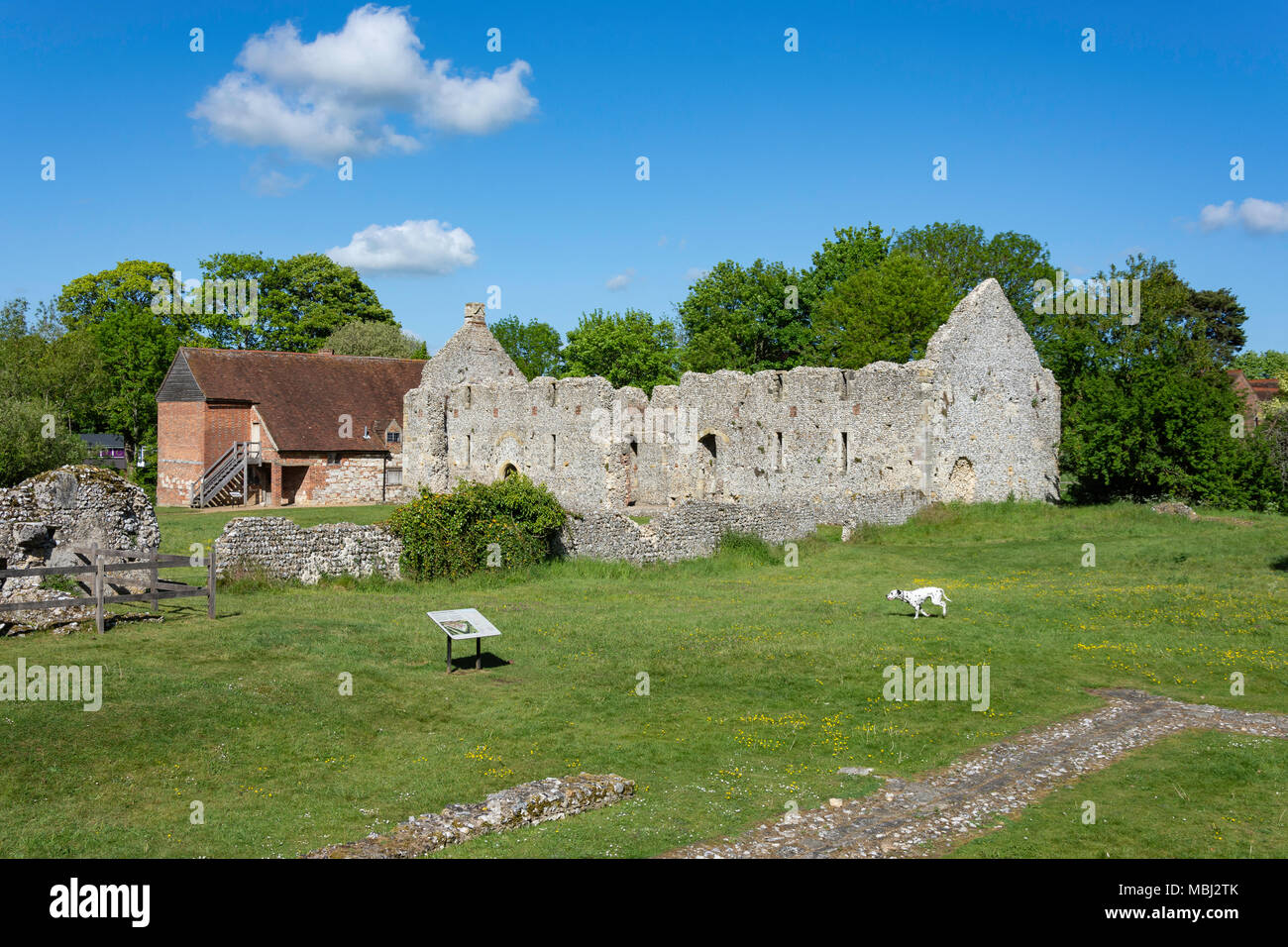 Bishop's Waltham Palace ruin, Bishop's Waltham, Hampshire, England, United Kingdom Stock Photo