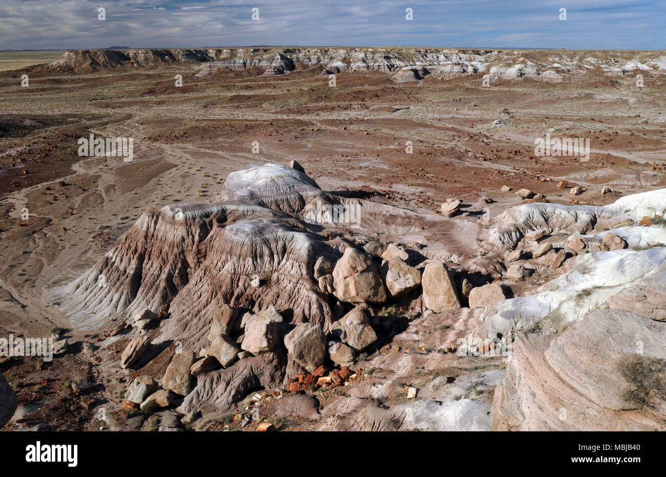 View from Jasper Forest overlook in Petrified Forest National Park, Arizona, showing multicoloured badlands and clusters of fossilized logs. Stock Photo