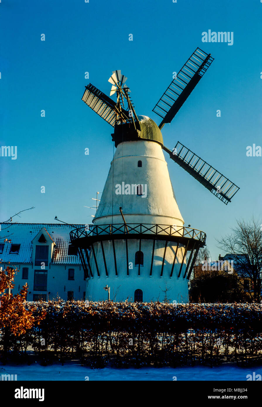 Historic windmill in Dybboel, Jylland, Denmark. Stock Photo