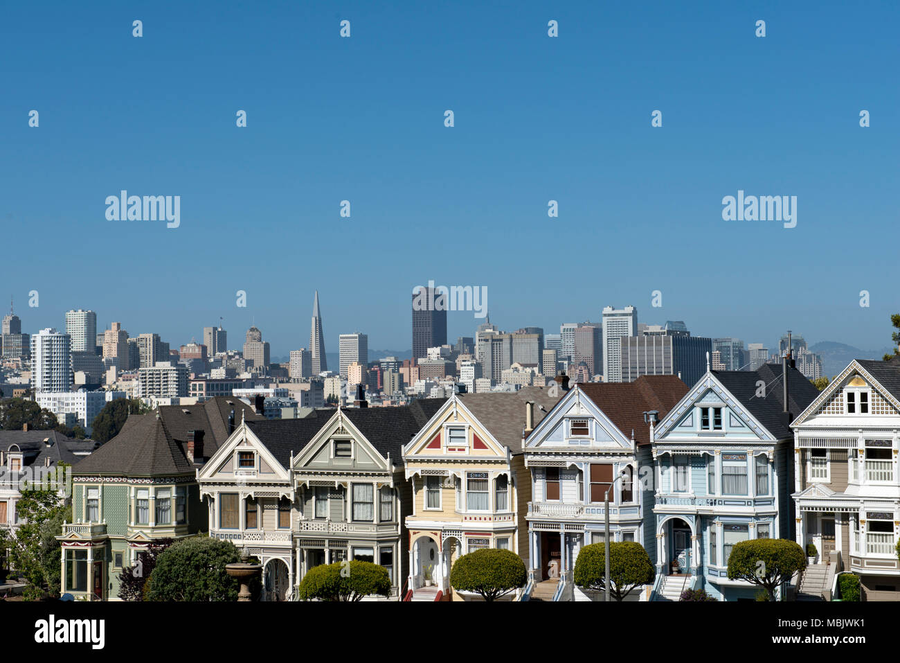 Painted Ladies Stock Photo