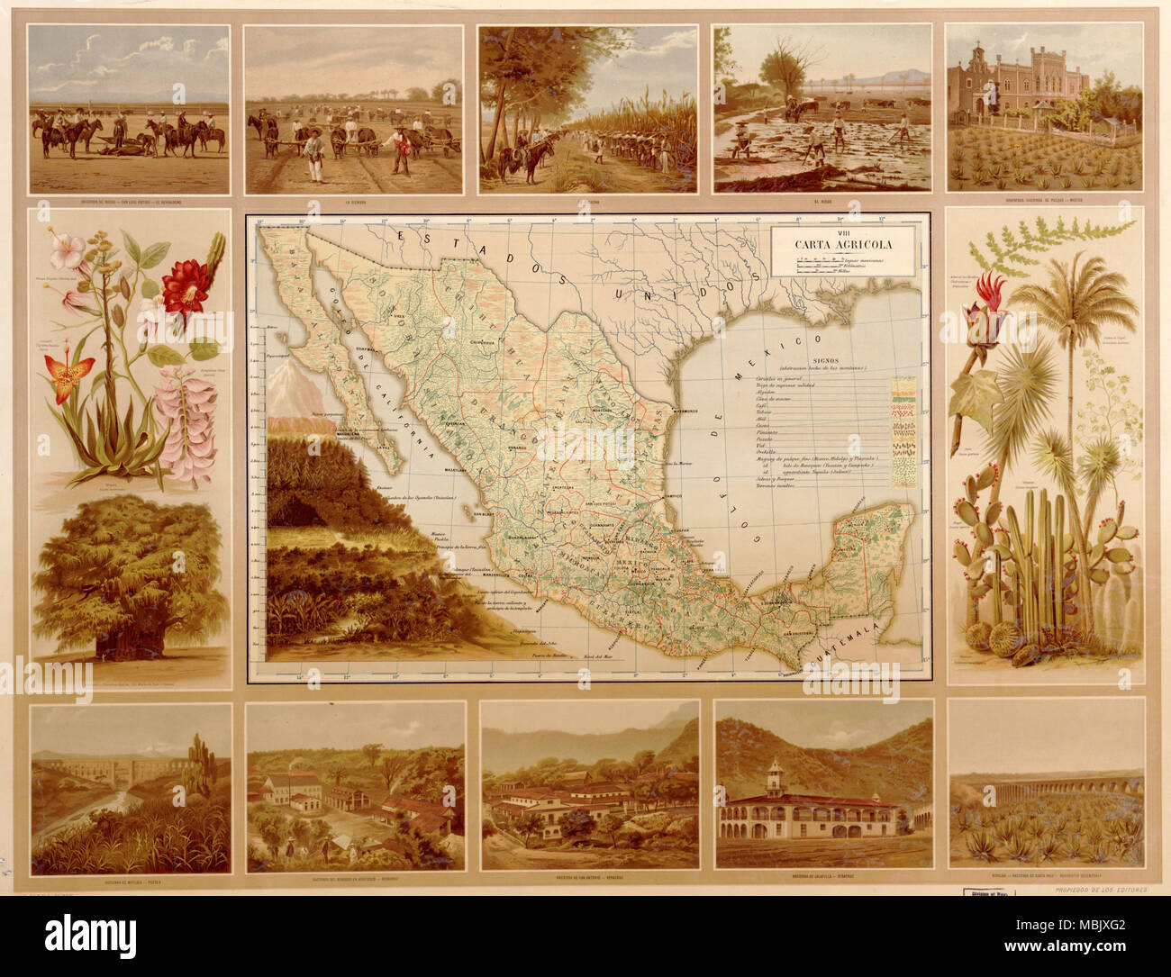 Agricultural Map of Mexico -1885 Stock Photo