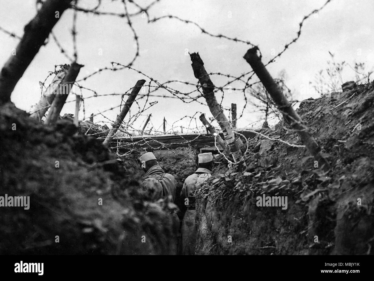 Fully Entangled in War Stock Photo