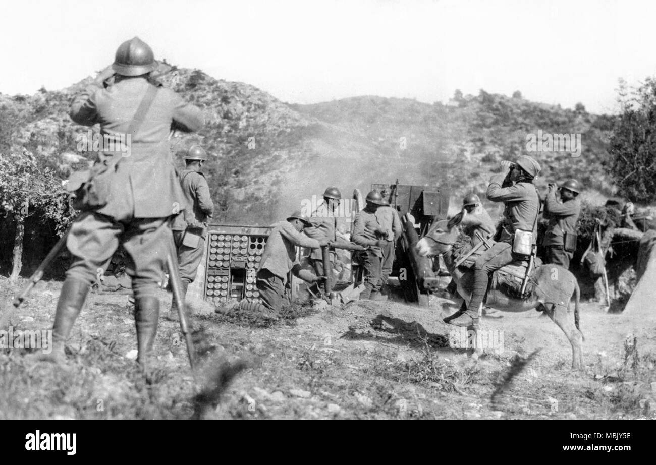 Artillery mules hi-res stock photography and images - Alamy