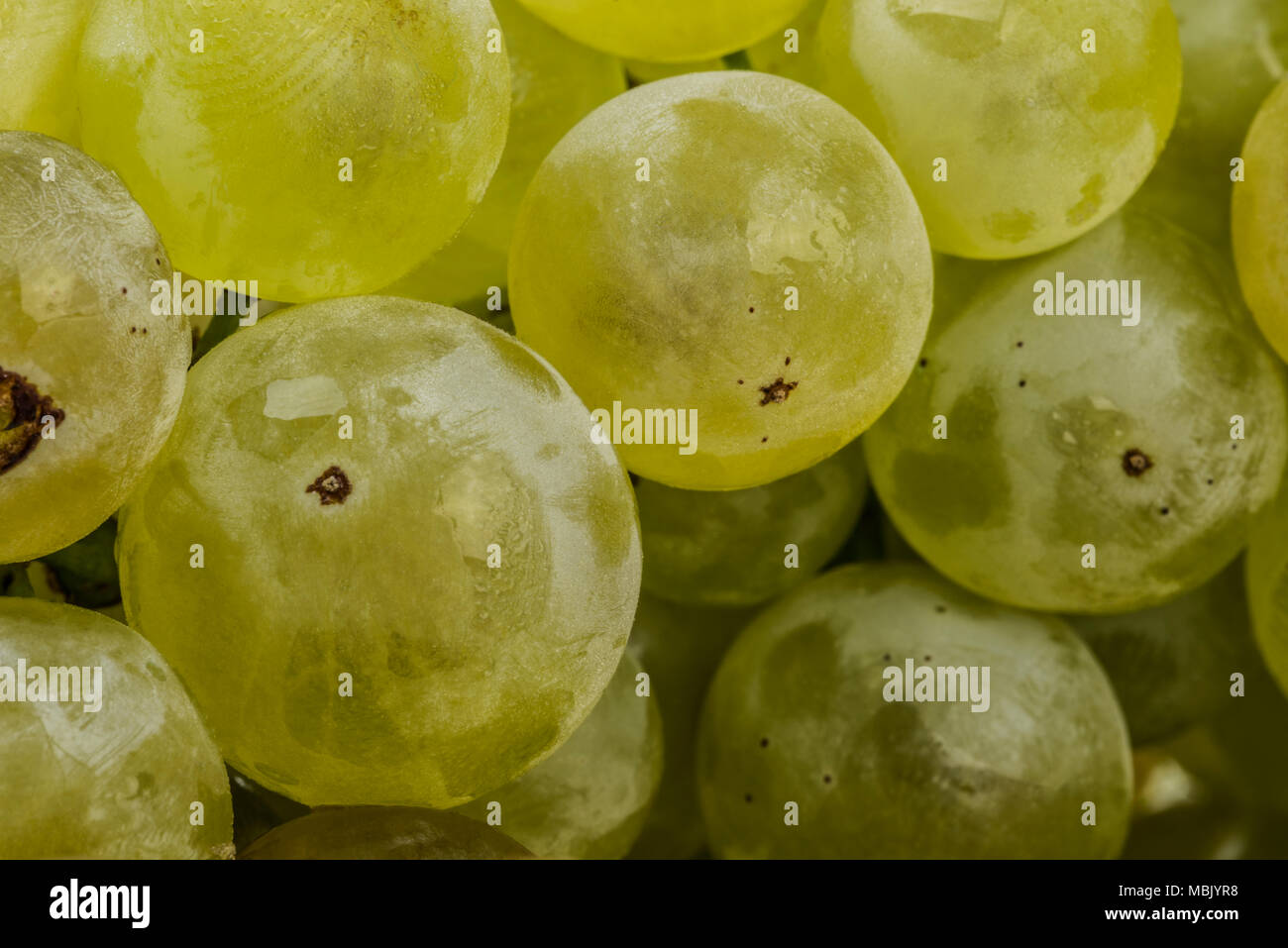 green grapes macro close up Stock Photo Alamy