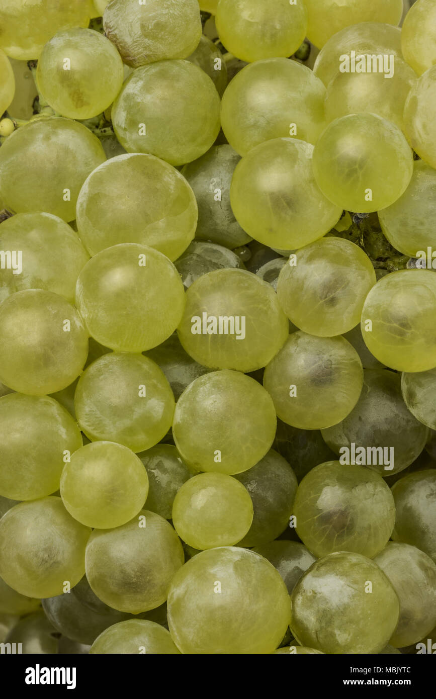 green grapes macro close up Stock Photo Alamy