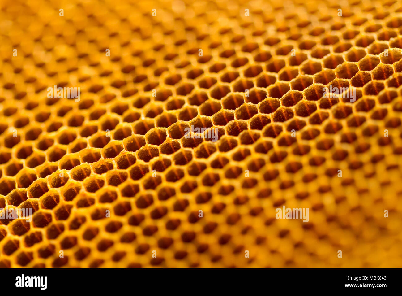yellow beautiful without honey texture Stock Photo Alamy