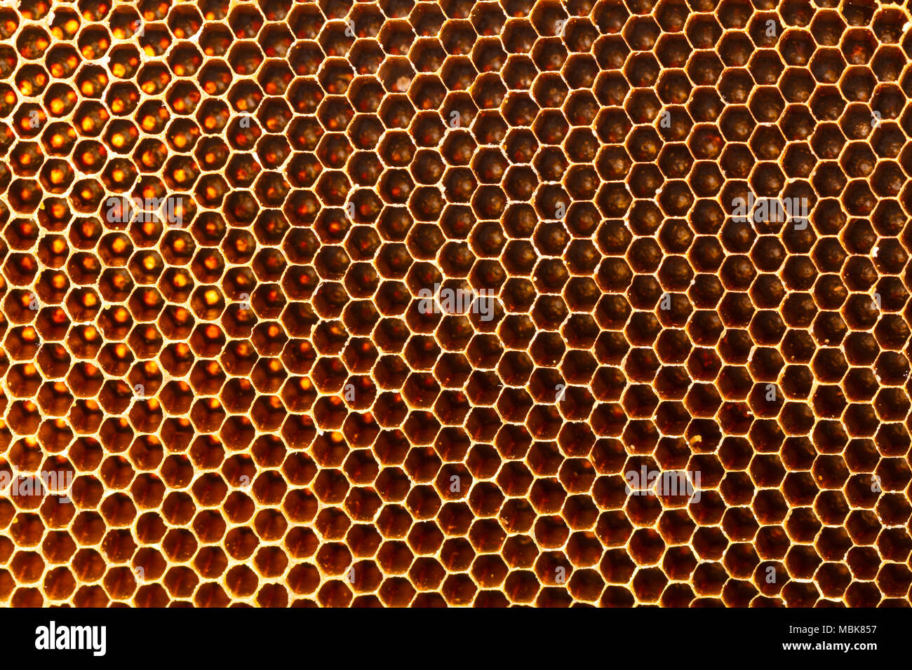 yellow beautiful without honey texture Stock Photo Alamy