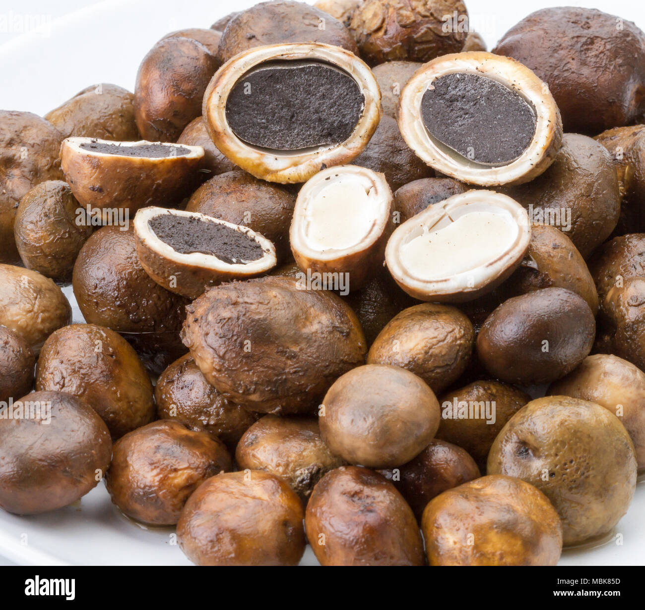 Mushroom Barometer Earthstars (Astraeus hygrometricus Stock Photo Alamy