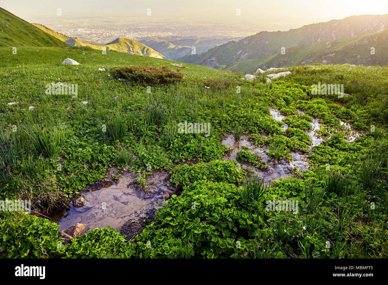 Landscape of Mountain Valley with river and green meadow at sunrise sky background Stock Photo