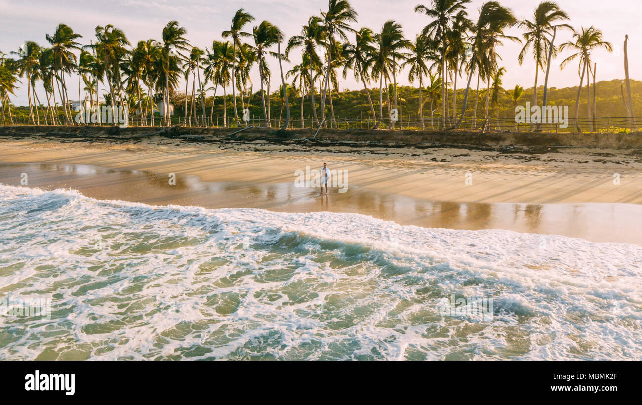 Drone beach palm trees hi-res stock photography and images - Alamy