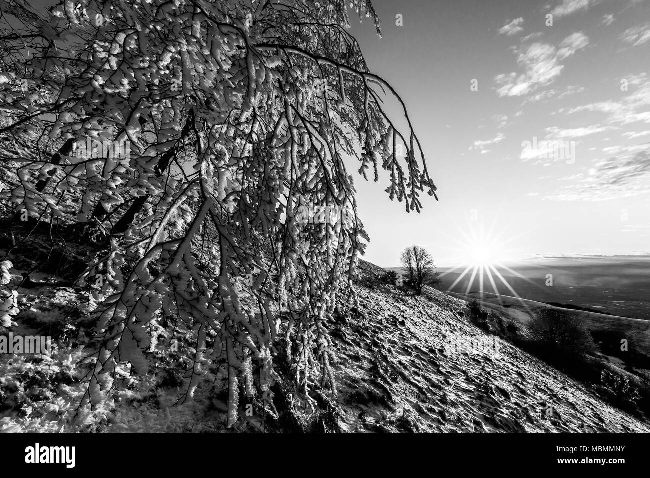 Beautiful sunset on a mountain, with snow covering the ground and frost on the branches of trees Stock Photo