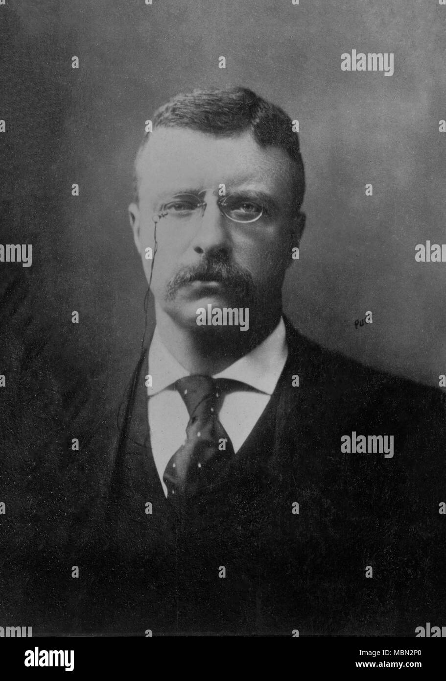Portrait of Theodore Roosevelt president of united states ( 1858 - 1919 )  -  photography by    Puch Stock Photo