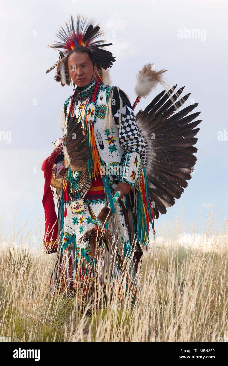 Native American man wearing traditional Cheyenne dress in the plains, new  Mexico Stock Photo - Alamy