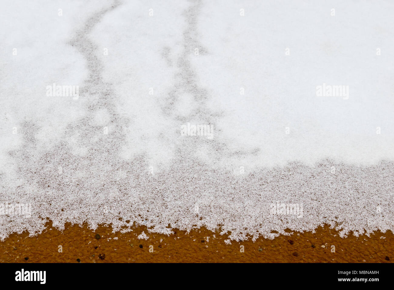 Fox footprints on snowy beach Stock Photo - Alamy