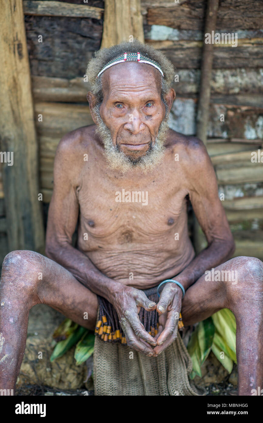 Portrait of a sitting old Huli wigmaster, Tari Valley, Papua New Guinea  Stock Photo - Alamy