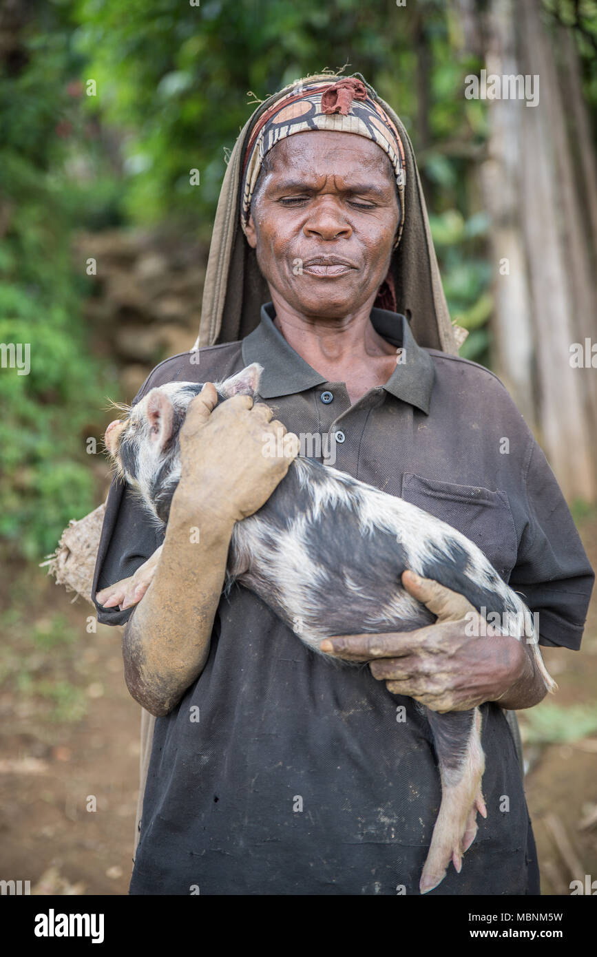 A Huli woman holding in her arms a little speckled pig, Tari VAlley, Papua New Guinea Stock Photo