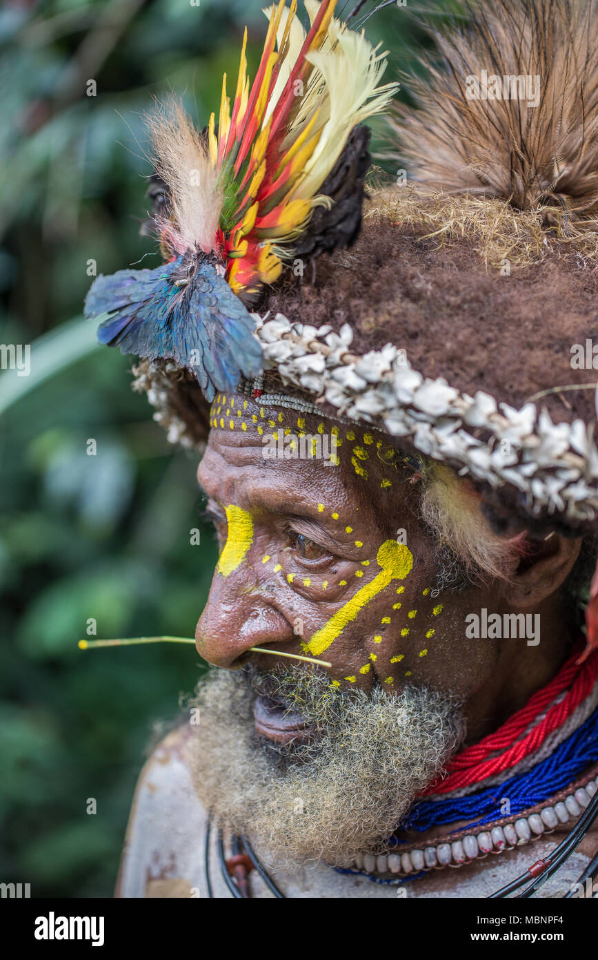 Portrait of an adult Huli wigman performing during a sing-sing, Tari Valley, Papua New Guinea Stock Photo