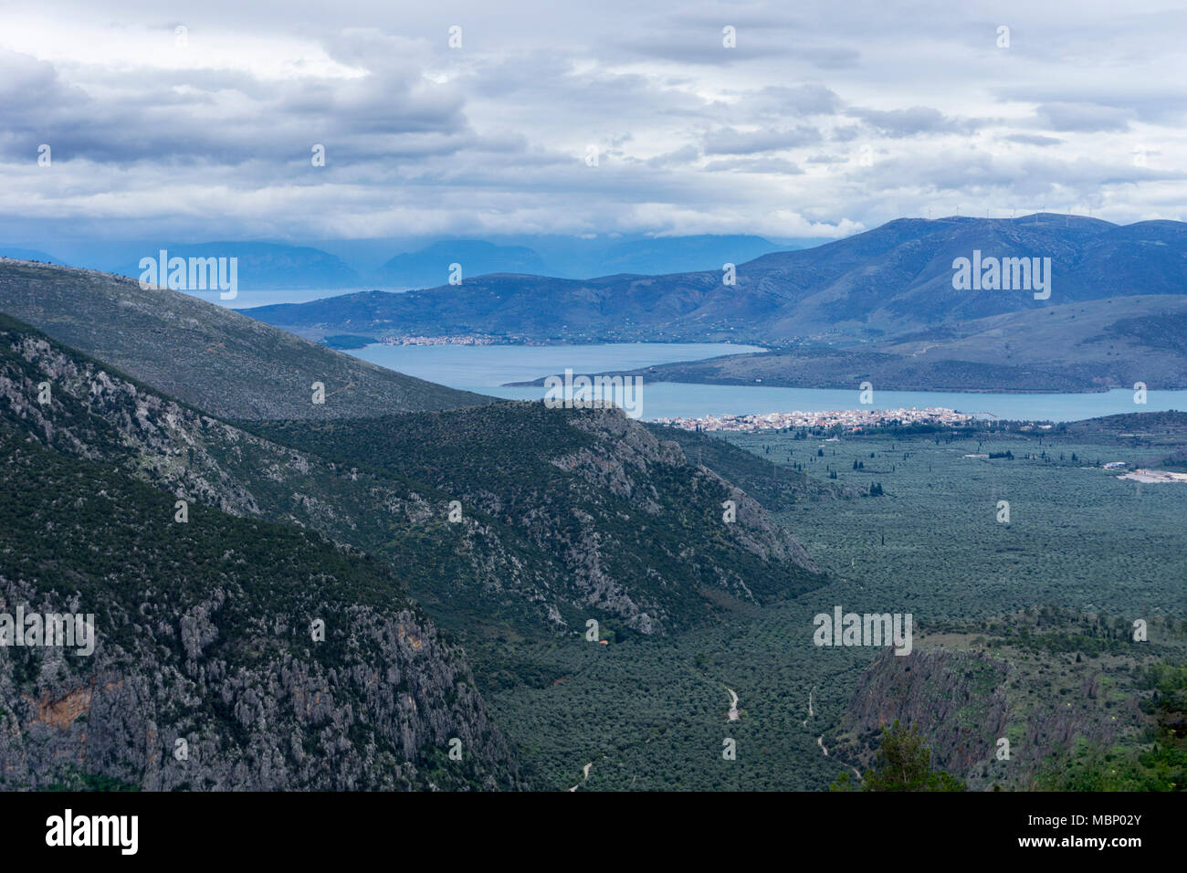 Delphi, Phocis - Greece. Panoramic view from Delphi town of the olive groves of Phocis and the Itea bay along with the villages Itea and Galaxidi Stock Photo