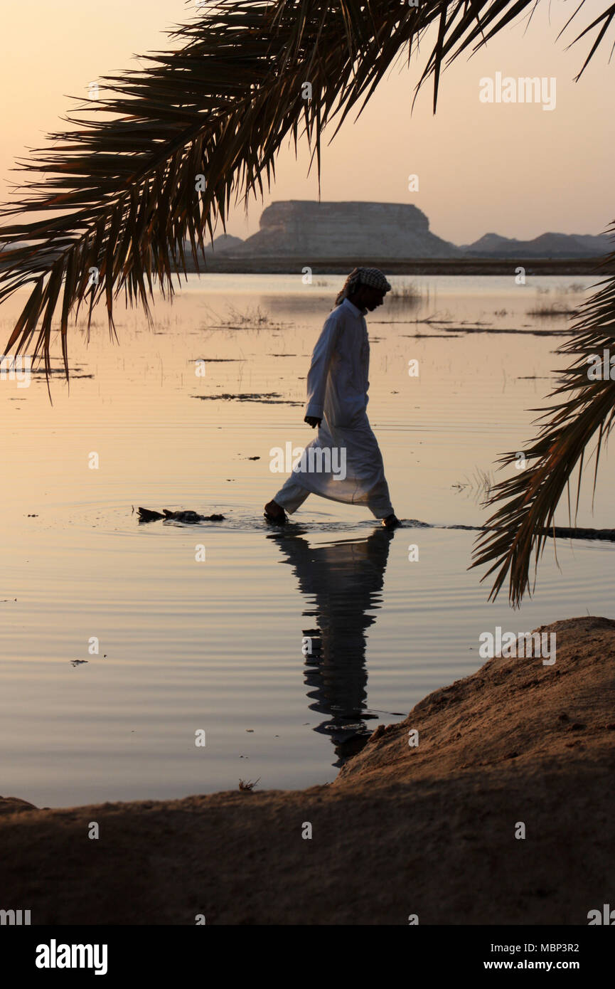 Arab Man Tree Arabic Man walking on the trunk of a fallen palm tree at the Siwa Oasis ...