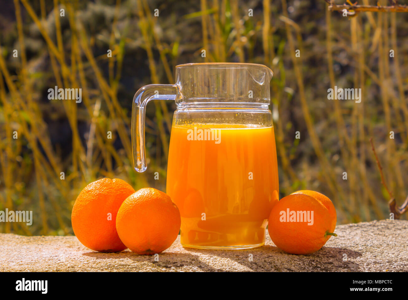 https://c8.alamy.com/comp/MBPCTC/freshly-squeezed-orange-juice-in-a-glass-pitcher-made-with-fresh-oranges-outside-with-a-natural-backdrop-MBPCTC.jpg