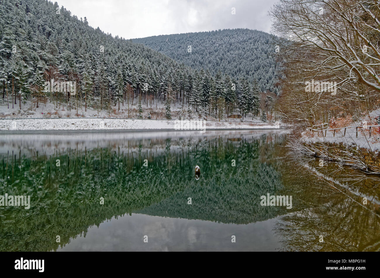 Wintry forested mountain reflects in a water of the Herzberger lake