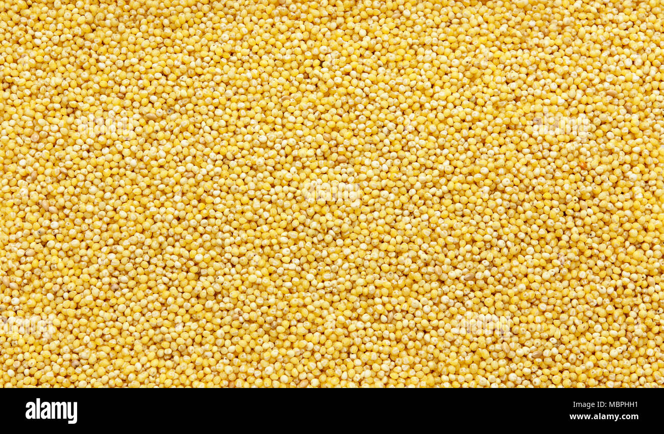 Polished millet texture and details traditional food Stock Photo Alamy