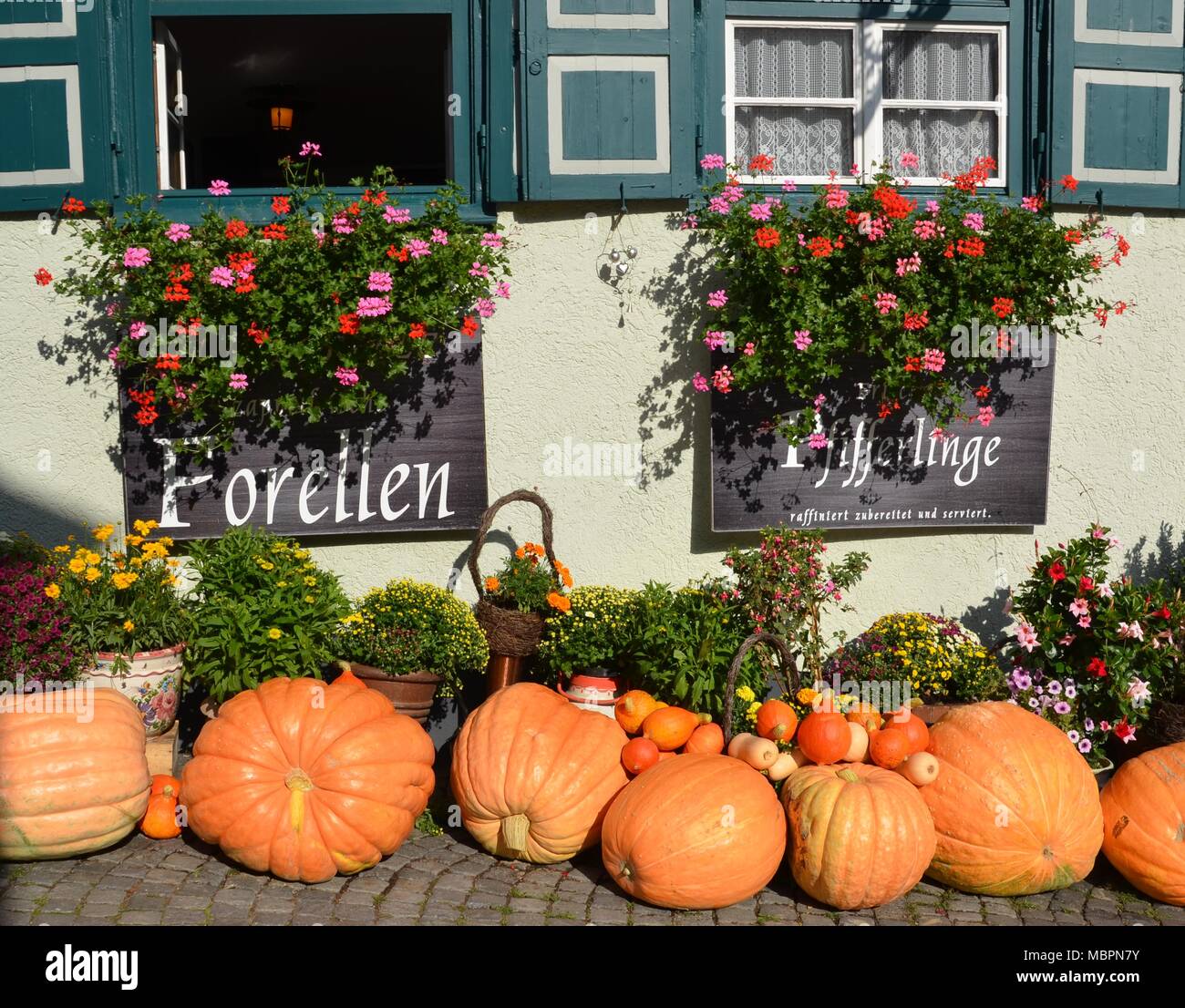 a view of a restaurant with pumpkins and blooming flowers. The translation of the signs: trouts, fine prepared and served chanterelles Stock Photo