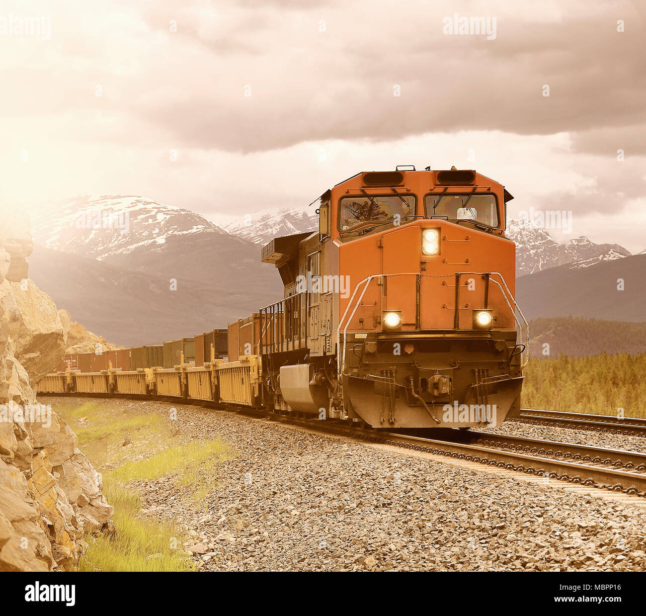 Long freight train Stock Photo Alamy