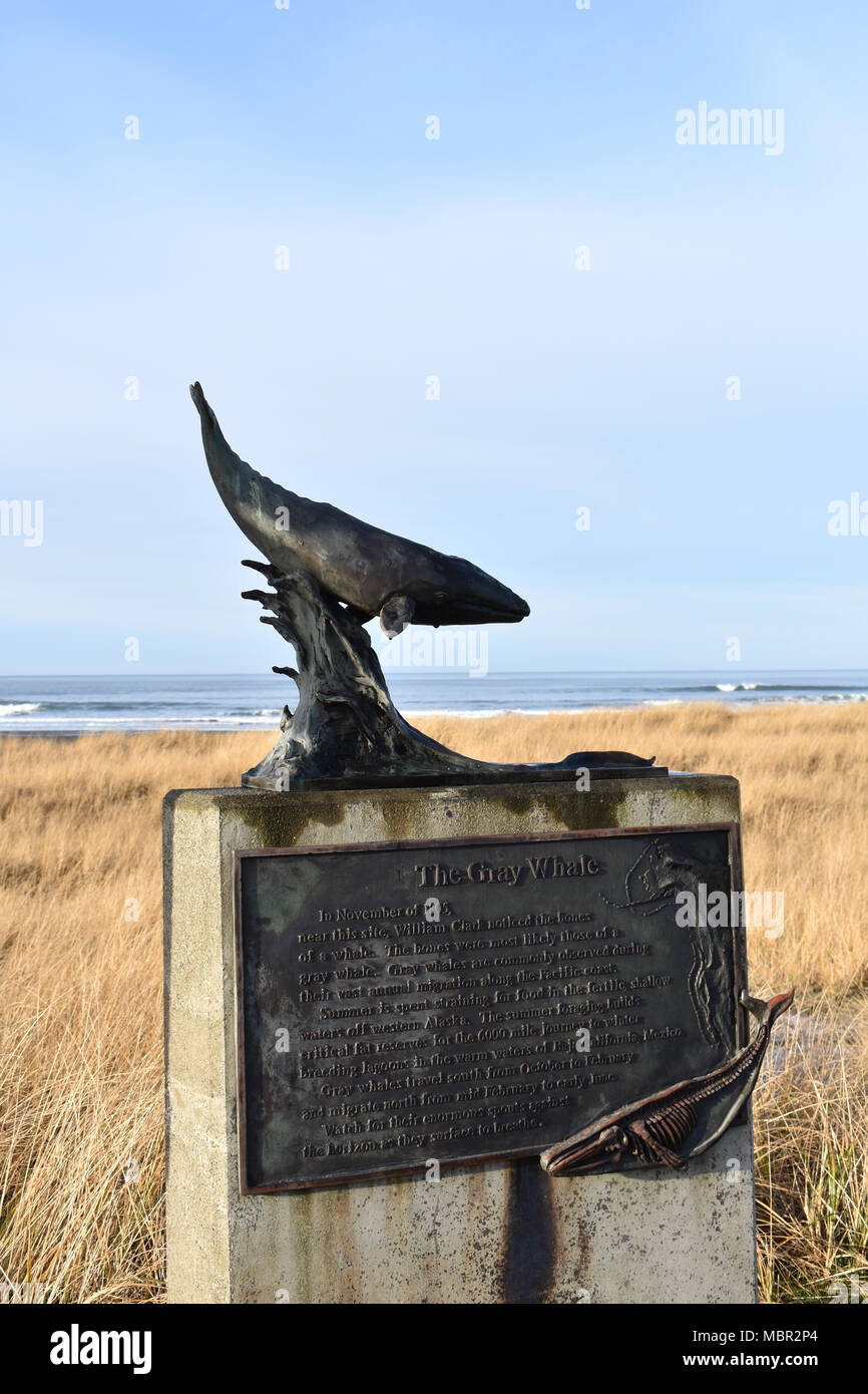 Long beach peninsula hi-res stock photography and images - Alamy
