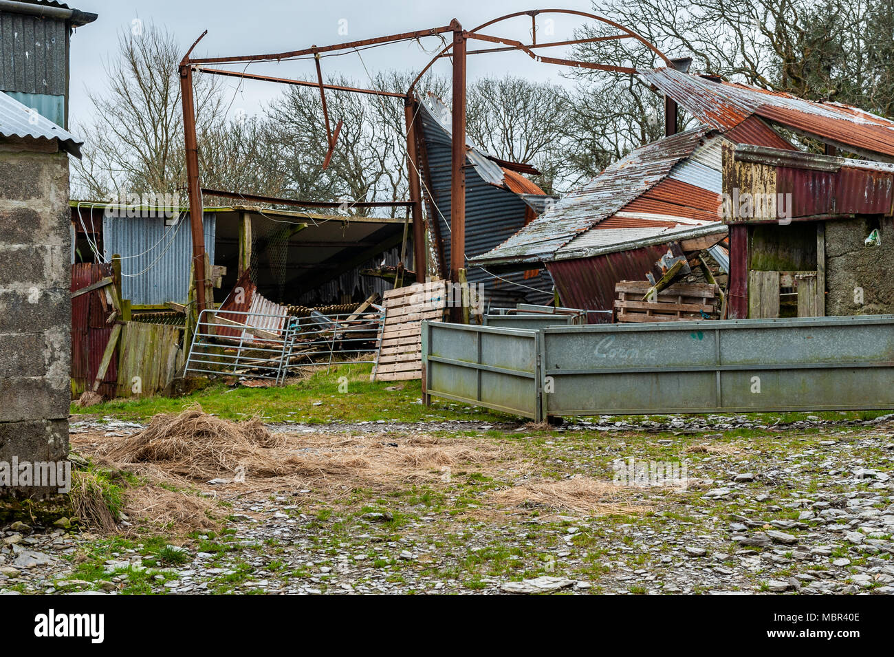 Farm building demolished by high winds in Ballydehob, West Cork, Ireland. Stock Photo