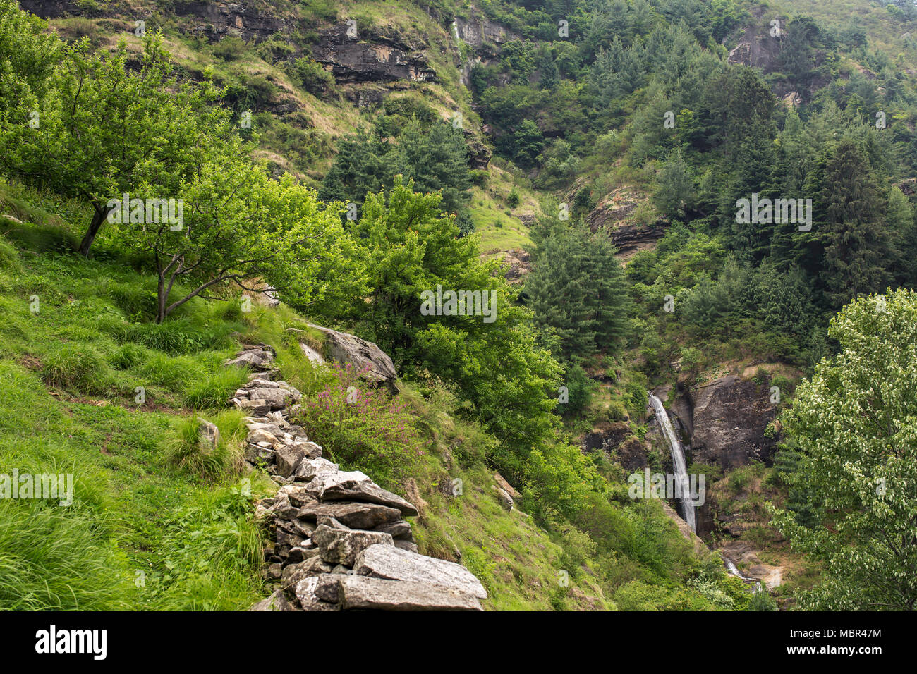 Summer mountain landscape with small waterfall and apple garden in Vashisht village Himachal Pradesh, India. Stock Photo