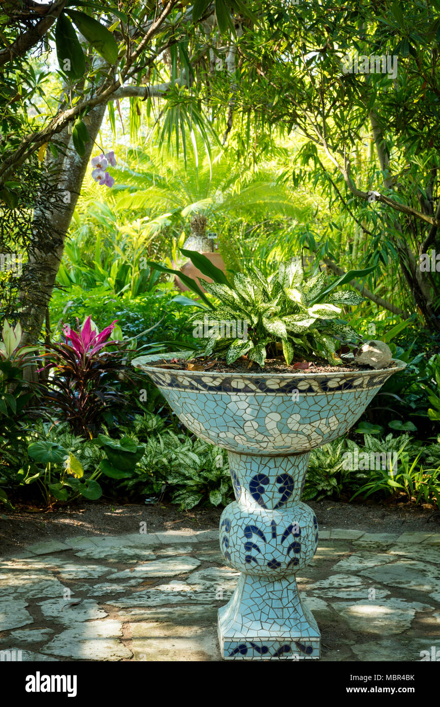 Traditional ceramic pot in the Asian section of Naples Botanical Gardens, Naples, Florida, USA Stock Photo