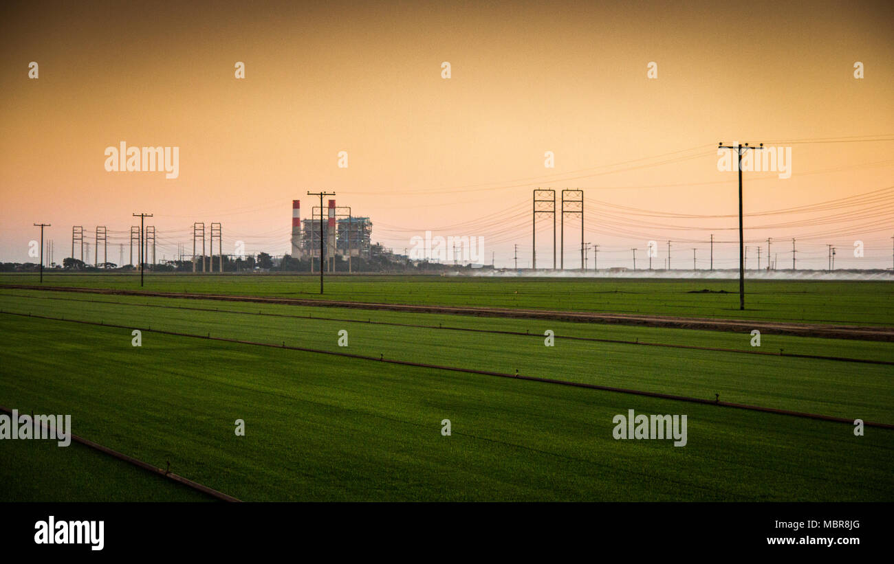 Ormond beach oxnard