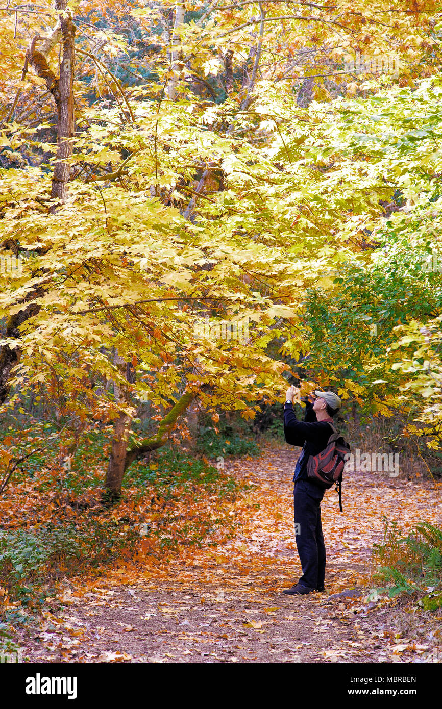 Ashland oregon hires stock photography and images Alamy