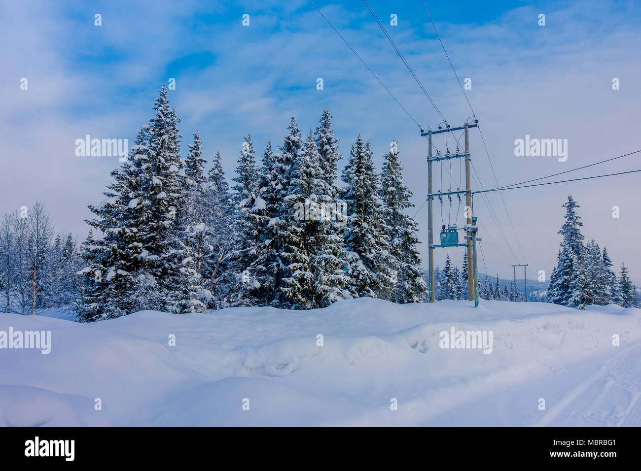 Outdoor view of road partial covered with snow, and pine trees in the ...