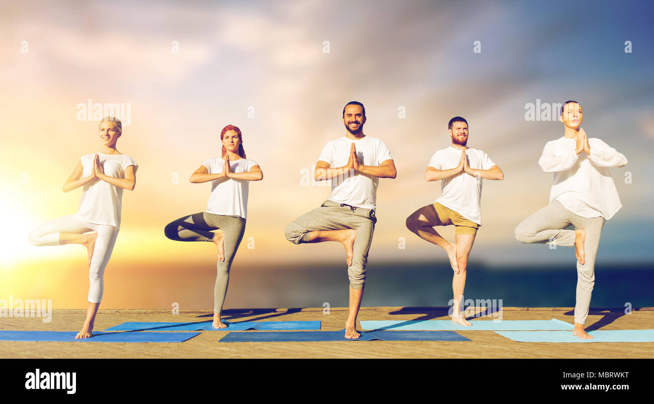people doing yoga tree pose on mat outdoors Stock Photo - Alamy